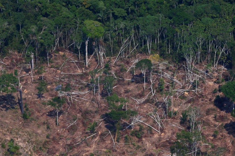 Brazil Needs More Financial Support to Pursue Environmental Protection Efforts