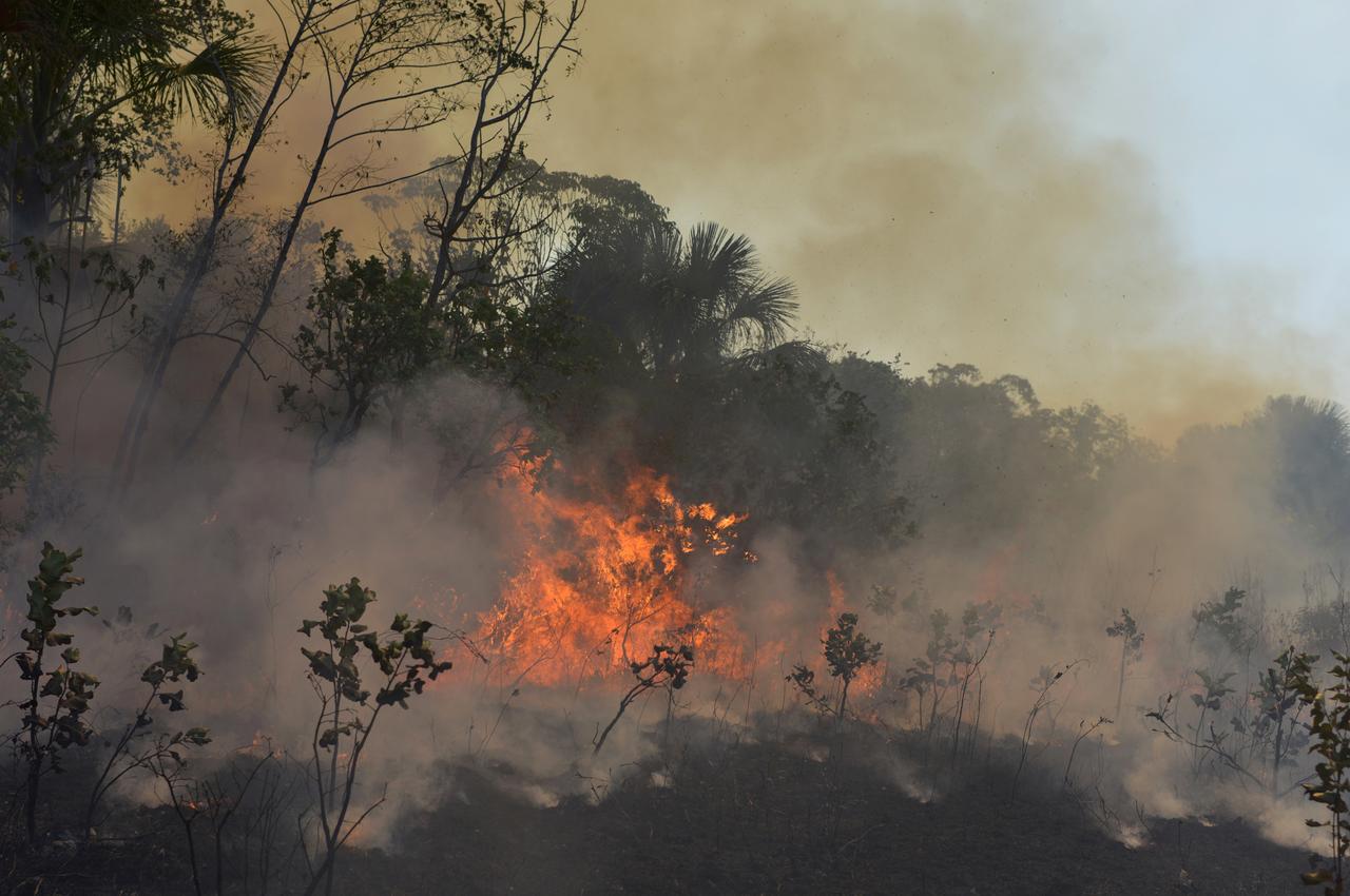 Deforestation in Brazil's Amazon Doubled in January | Latin Post ...