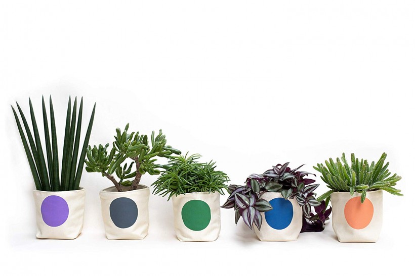 Handmade Succulent Planters Set by Ravello