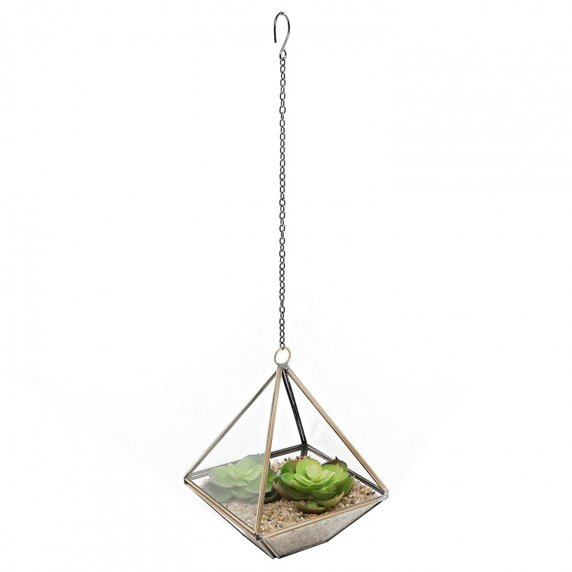 Hanging Glass Succulent Planter