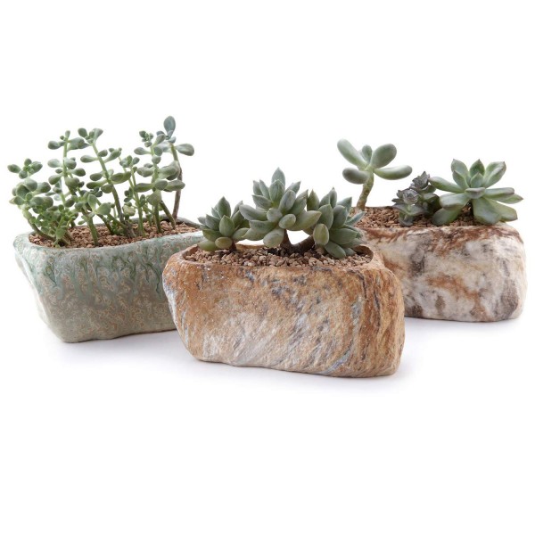 Ceramic Succulent Planters