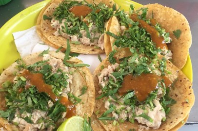Tacos de Sesos