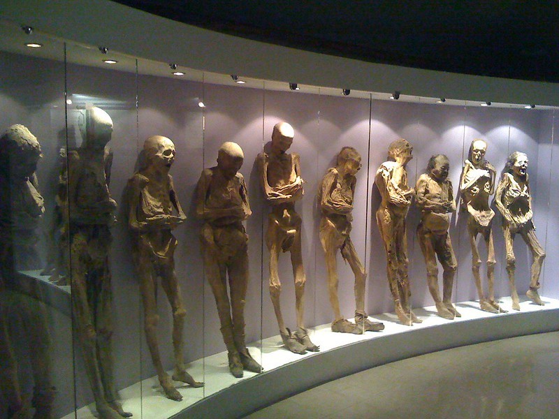 House of Mummies