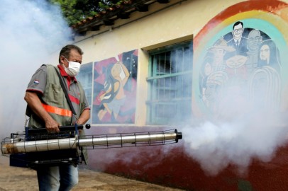 FILE PHOTO: A federal health worker takes part in fumigation to prevent the proliferation of mosquitos that transmit the Dengue fever at the San Lorenzo National School, in a low-income neighbourhood of San Lorenzo