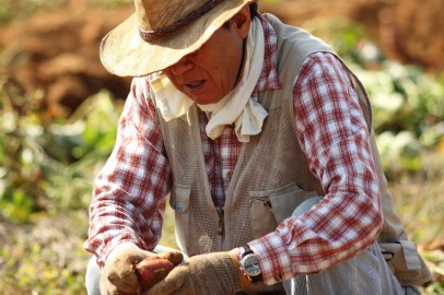 Mexican Farmer