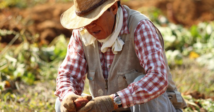 Mexican Farmer