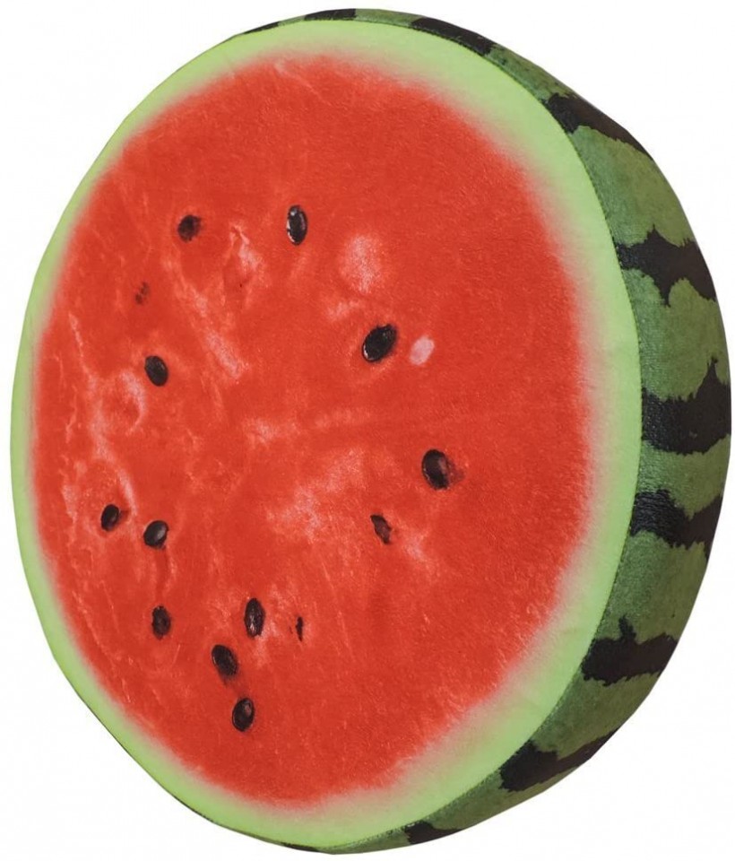 Watermelon Slice Realistic Soft Velvet Foam Pillow