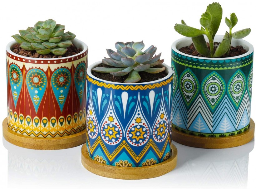 Greenaholics Succulent Plant Pots - 3 Inch Mandalas Pattern Cylinder Ceramic Planter for Cactus, with Drainage Hole, Bamboo Trays, Idea, Set of 3
