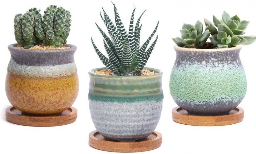 T4U 2.5 Inch Small Ceramic Succulent Pots with Bamboo Tray Set of 3, Sagging Glazed Porcelain Summer Serial Handicraft as Gift for Mom Sister Best for Home...