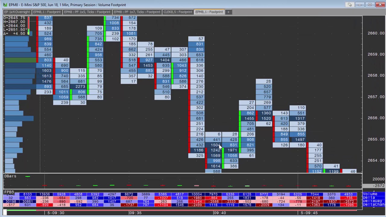 Footprint Chart Software