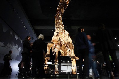 Skull of Dinosaur Named 'One Who Causes Fear' Found in Argentina