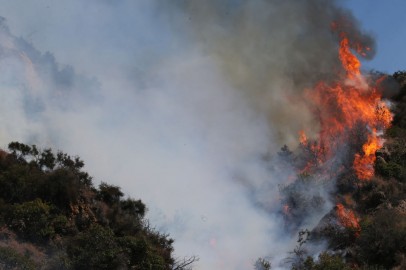 Los Angeles Officials Arrest Palisades Fire Suspect