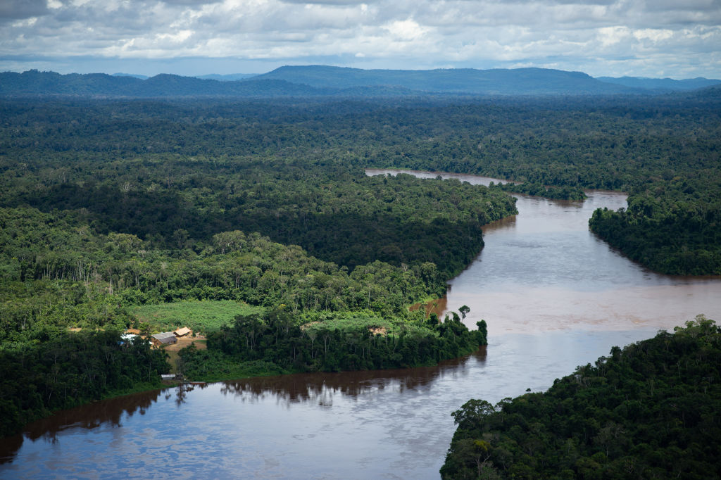 Amazon Rainforest in Brazil Is Being Plagued by Armed Violence Linked to Illegal Gold Mining