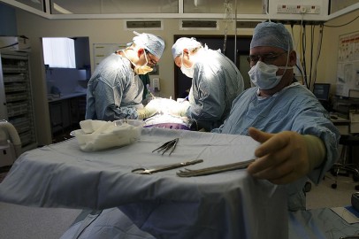 In a First, U.S. Surgeons Successfully Transplanted a Pig's Kidney Into a Human