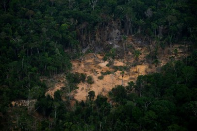 Amazon Rainforest Nearing Dangerous Environmental “Tipping Point”; Trees May Die Off en Masse – Researchers
