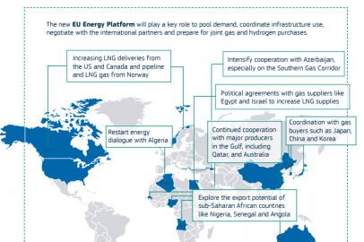 EU’s International Energy Strategy: A Reckless Response to a Global Energy Crisis