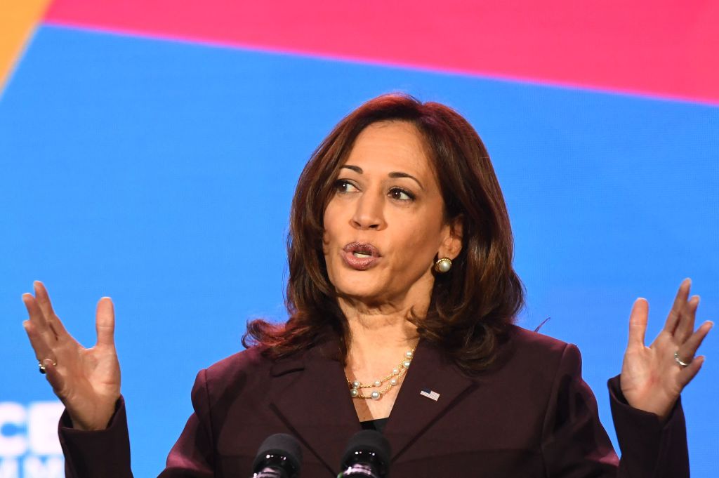 Kamala Harris Net Worth 2022: How Rich Is The 49th Vice President ...