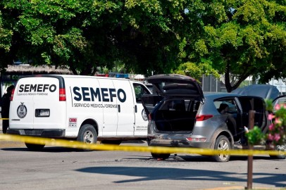 Mexico:  Third Volunteer Search Activist Killed as They Search for Missing Relatives