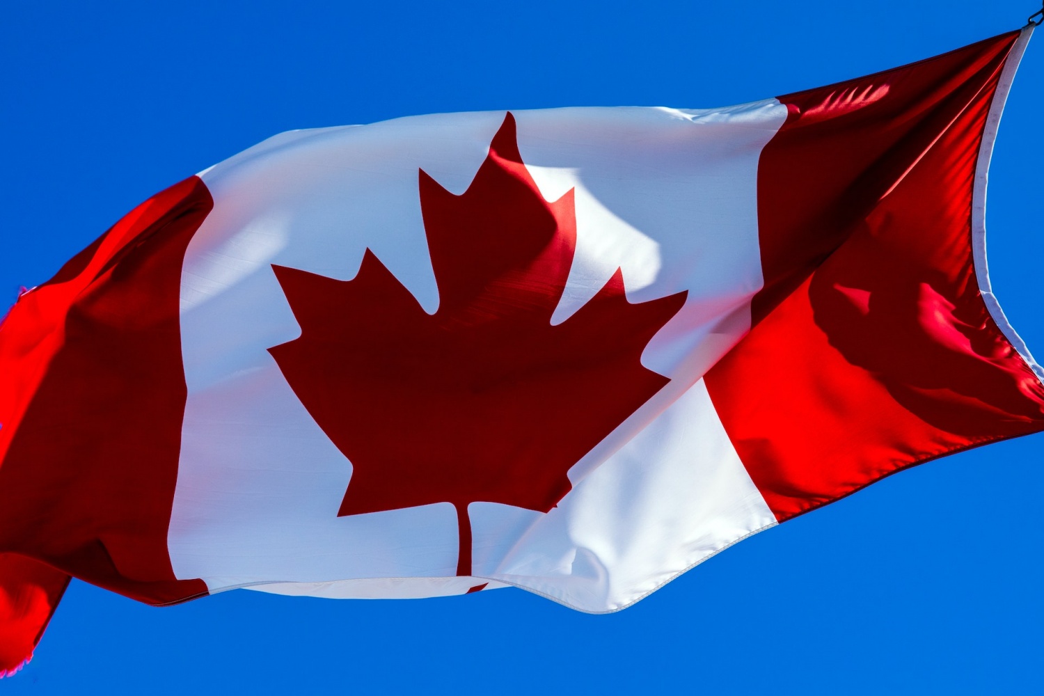 How Do You Declare Common Law Status In Canada