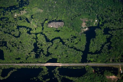 Brazil Is Losing Amazon Rainforest to Organized Crime, Traffickers Using the Region to Smuggle Drugs, Judge Says