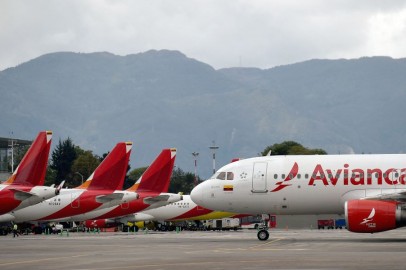 Colombian Airline Avianca to Prohibit Large Pets on Flights; Announces New Flight Routes to Brazil, U.S.