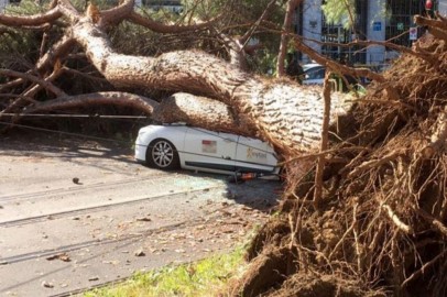 Missouri: Fallen Tree Crushes Parked Car with Woman Inside During Fierce Storm  
