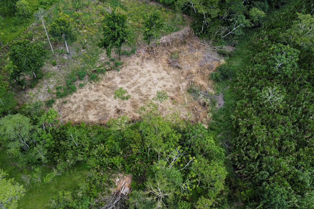 Deforestation in Colombia dropped by 29 percent, a milestone, Climate  Crisis News