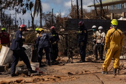 Maui Wildfire Update: List of 388 People Unaccounted for Released, $13.2 Million in Aid Provided  