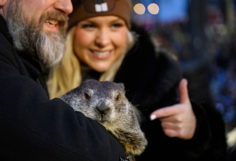 Over 40,000 people spent a night of revelry awaiting the sunrise and the groundhog's exit from his winter den in the western Pennsylvania borough of Punxsutawney.