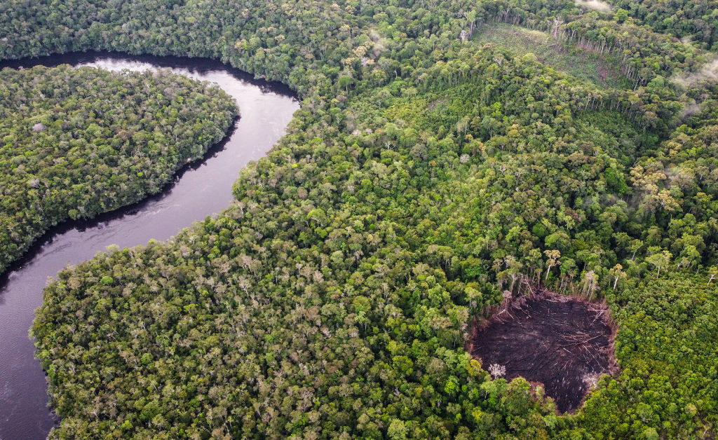 Colombia Deforestation Hits Historic Low in 2023