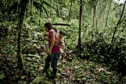 Indigenous-communities-forests-protections