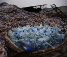 Easily Grown: New Species of Plastic-Loving Bacteria Might Solve the World's Garbage Problem