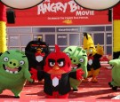 The Angry Birds