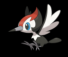 Pikipek