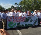 Same-sex Marriage Protests in Mexico City