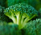 Extreme close up of a raw broccoli