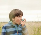 Thunderstorm asthma kills eight in Melbourne