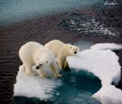 Google Earth's Timelapse Latest Update Describes 30 Years of Climate Change