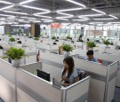 Alibaba's Office in China 