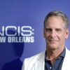 Scott Bakula attends the screening of 'NCIS: New Orleans' at the National WWII Museum on September 17, 2014 in New Orleans, Louisiana.