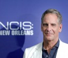 Scott Bakula attends the screening of 'NCIS: New Orleans' at the National WWII Museum on September 17, 2014 in New Orleans, Louisiana.