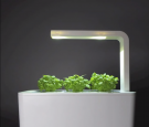 Smart Herb Garden