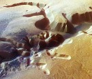 ESA's Mars Express Returns Images Of Echus Chasma