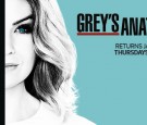 'Grey's Anatomy' Season 13 mid-season premiere