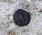 One of the two ancient bronze coins, which according to Israel Antiquities Authority archaeologists were struck by the Roman procurator of Judea, Valerius Gratus, in the year 17/18 CE.