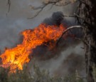 Blue Cut Fire Rages Through 30,000 Acres In Southern California