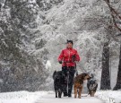 Denver Snowstorm, May 2014 