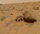 NASA Pathfinder Sojourner Rover On Mars