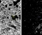 Satellite composite image provided by the U.S. Geological Survey (USGS), satellite images of polar ice sheets taken in August 2001 (L) and August 2007 show the retreating ice in the Beaufort Sea durin