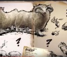 Ovis Aries The Sheep In Ark: Survival Expansion